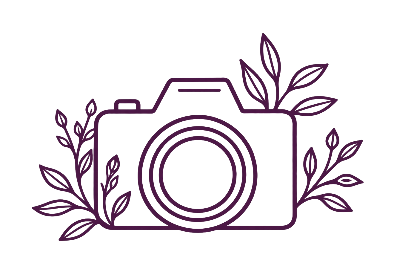 Photography camera icon